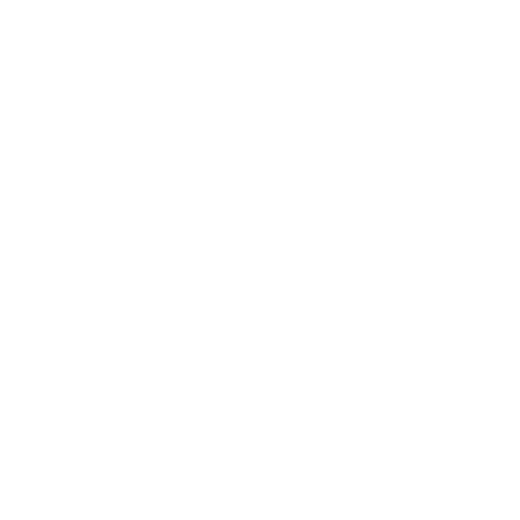 Logo Salty Heads